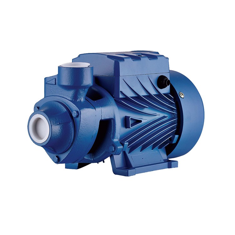 Cast Iron Peripheral Pumps